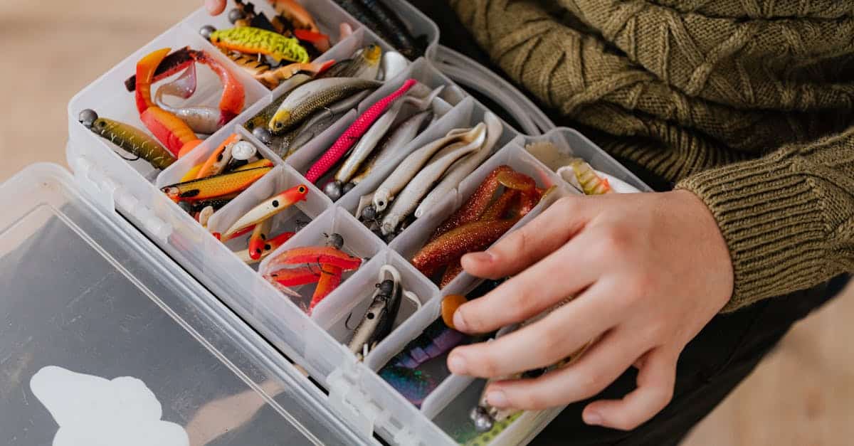 découvrez les meilleures techniques de pêche avec notre guide sur les appâts. que vous soyez débutant ou expert, apprenez à choisir les appâts adaptés pour attirer les poissons de manière efficace et optimiser vos sorties de pêche.