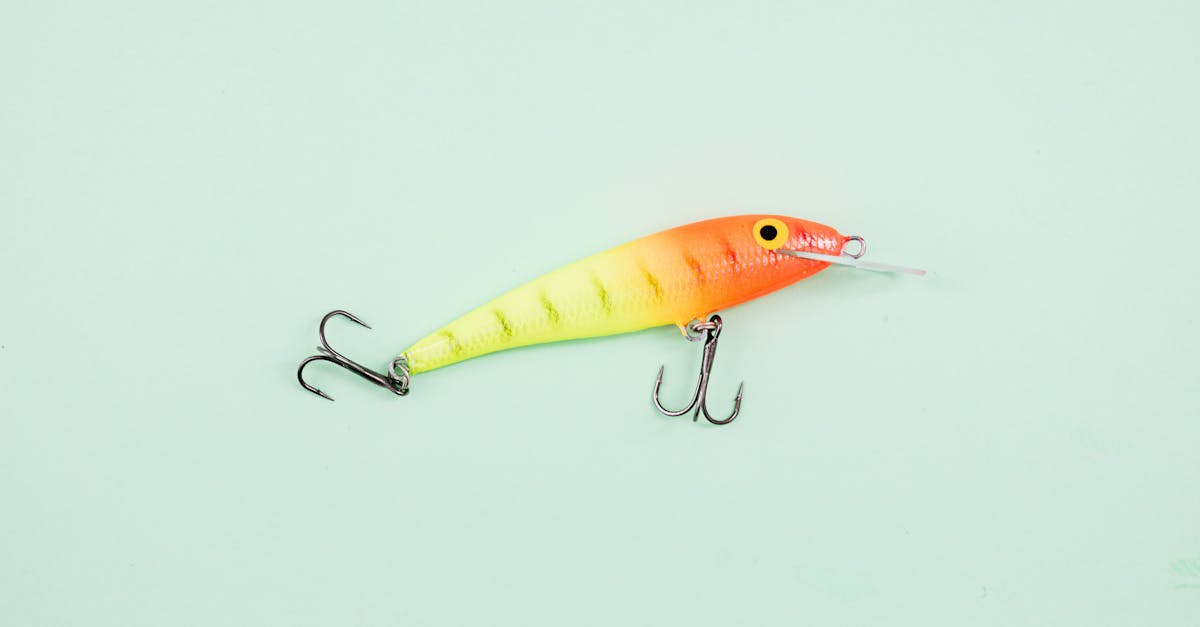 découvrez l'univers du 'bait', un concept incontournable dans le monde de la pêche et du marketing. apprenez comment attirer naturellement votre cible grâce à des techniques éprouvées et à des astuces innovantes. que vous soyez un passionné de pêche ou un professionnel du marketing, nos conseils vous aideront à optimiser vos stratégies.