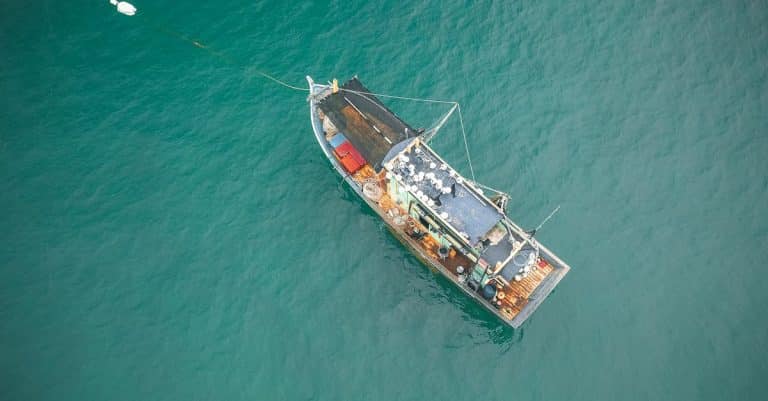 Comment maîtriser la pêche au coup grâce à une formation ?