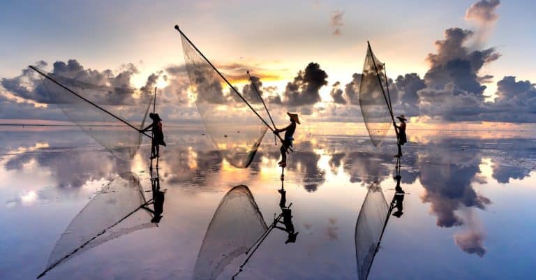 Quel matériel de pêche choisir quand on débute ?