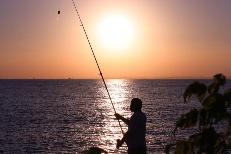 Comment maîtriser les techniques de pêche au lancer ?