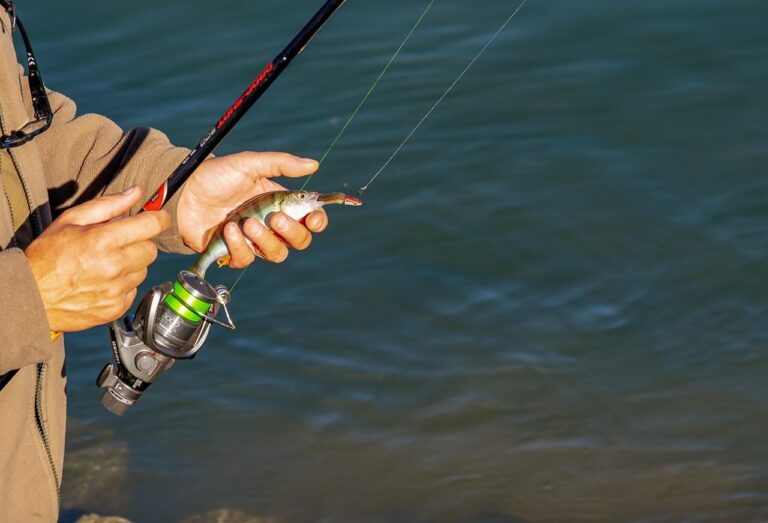 Comment améliorer sa technique de pêche en réservoir ?