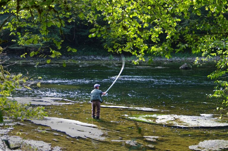 Comment maîtriser la pêche à la canne avec une formation efficace ?