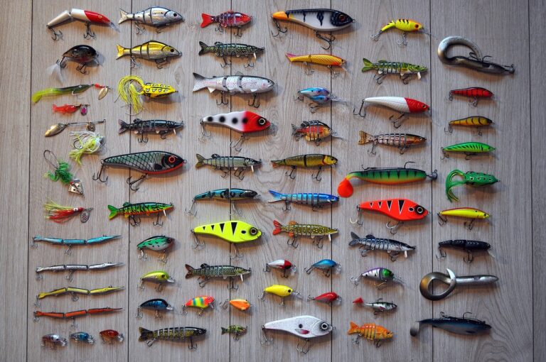 Quels sont les leurres les plus efficaces pour pêcher les carnassiers ?
