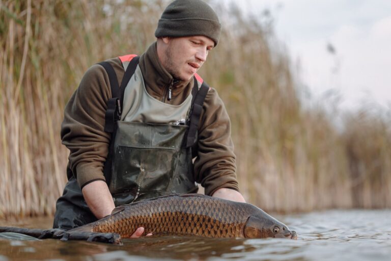Comment devenir un pêcheur à la carpe expert ?