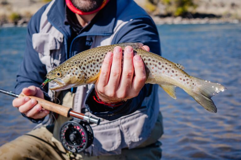Comment devenir un pêcheur à la truite expert ?