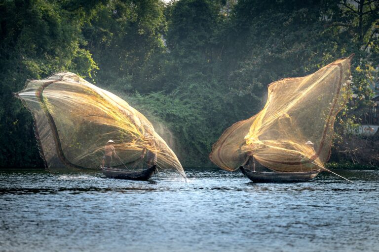 Comment maîtriser la pêche en bateau grâce à une formation ?