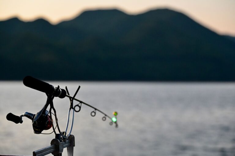 Quels sont les meilleurs appâts pour la pêche au coup ?