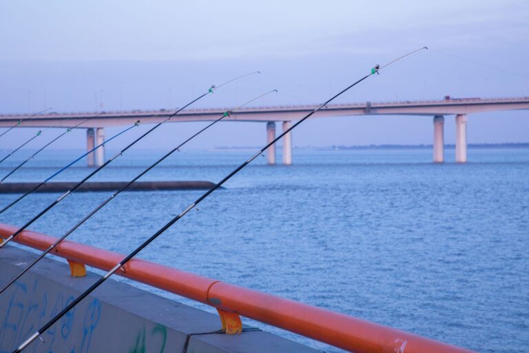 Quels sont les meilleurs appâts pour la pêche à la traîne ?