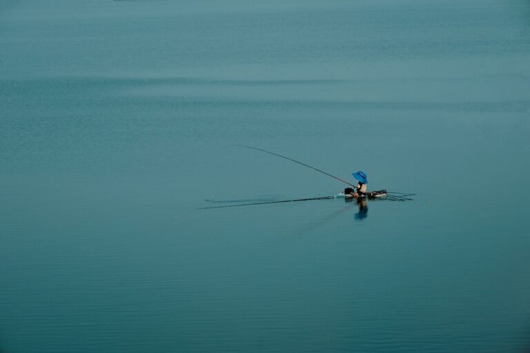 Les techniques incontournables pour pêcher la carpe