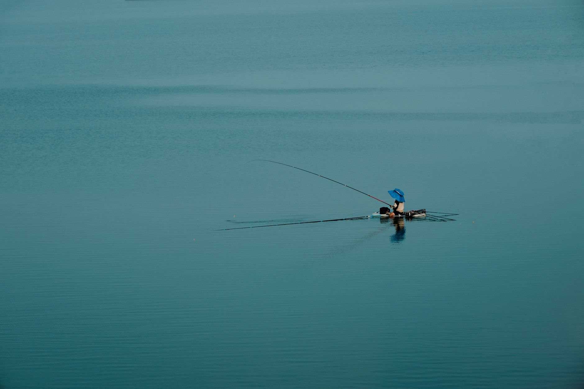 Les techniques incontournables pour pêcher la carpe