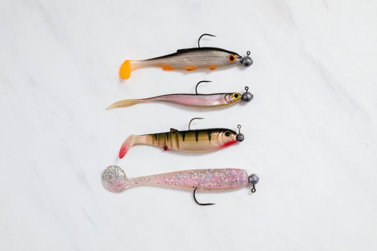 Quels appâts utiliser pour la pêche au brochet