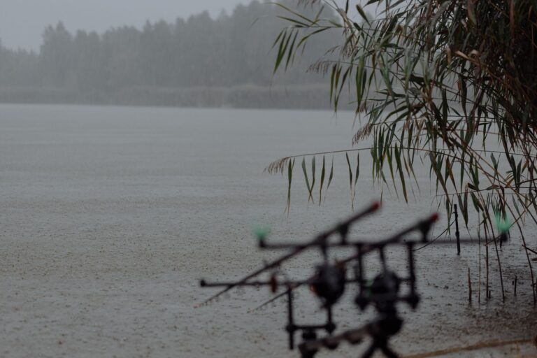 Les meilleurs spots de pêche dans votre région