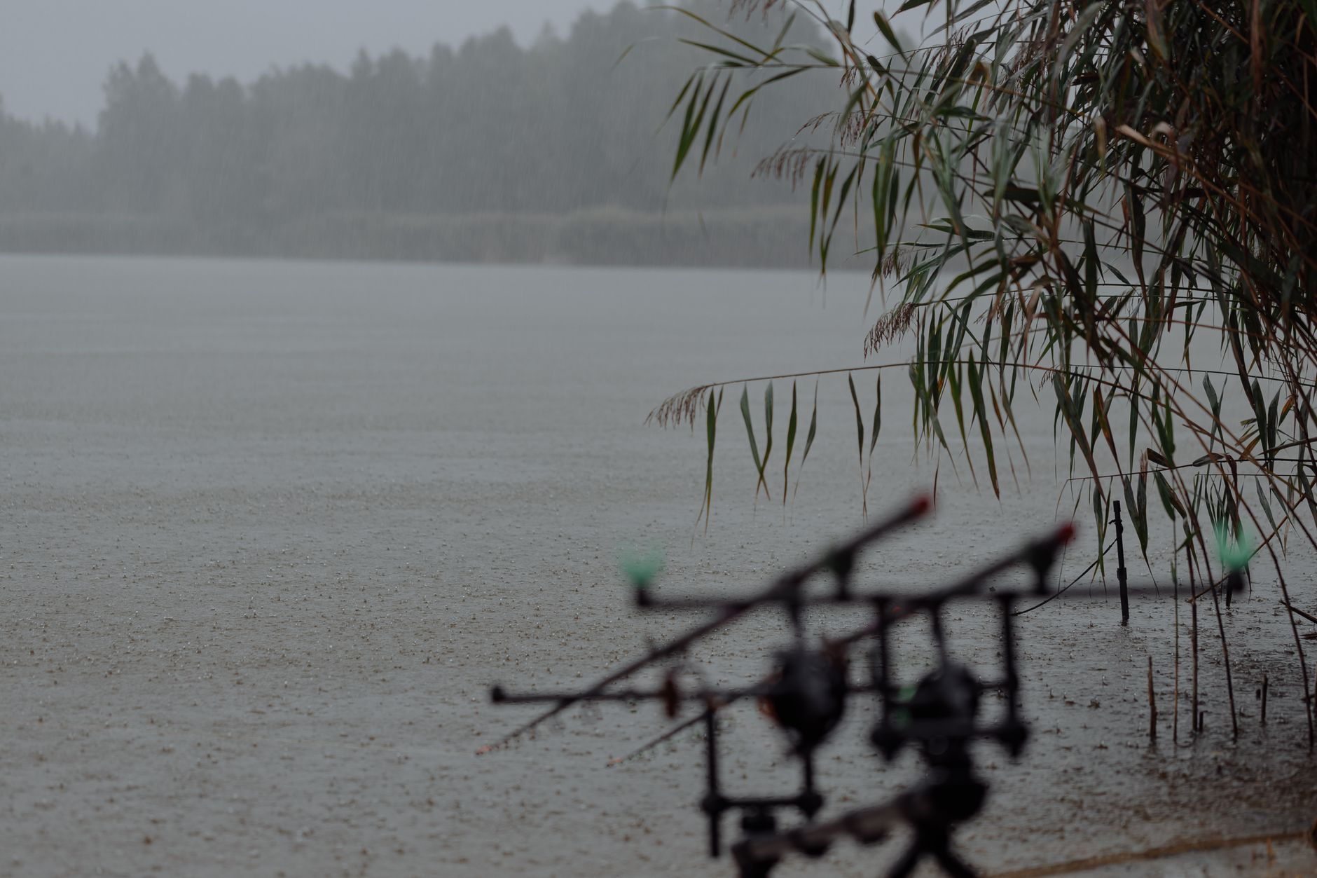 Les meilleurs spots de pêche dans votre région