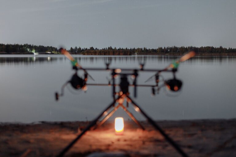 Tout savoir sur la pêche nocturne