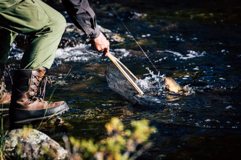 Pourquoi pratiquer le no-kill lors de la pêche