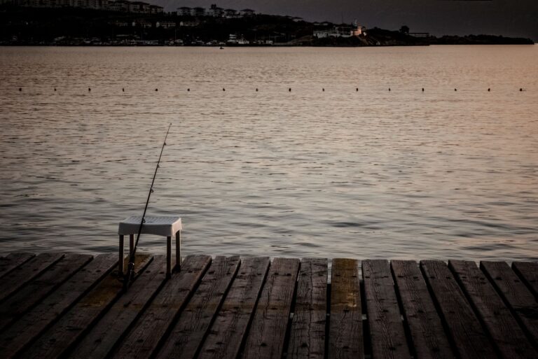 Les poissons les plus faciles à attraper pour les débutants