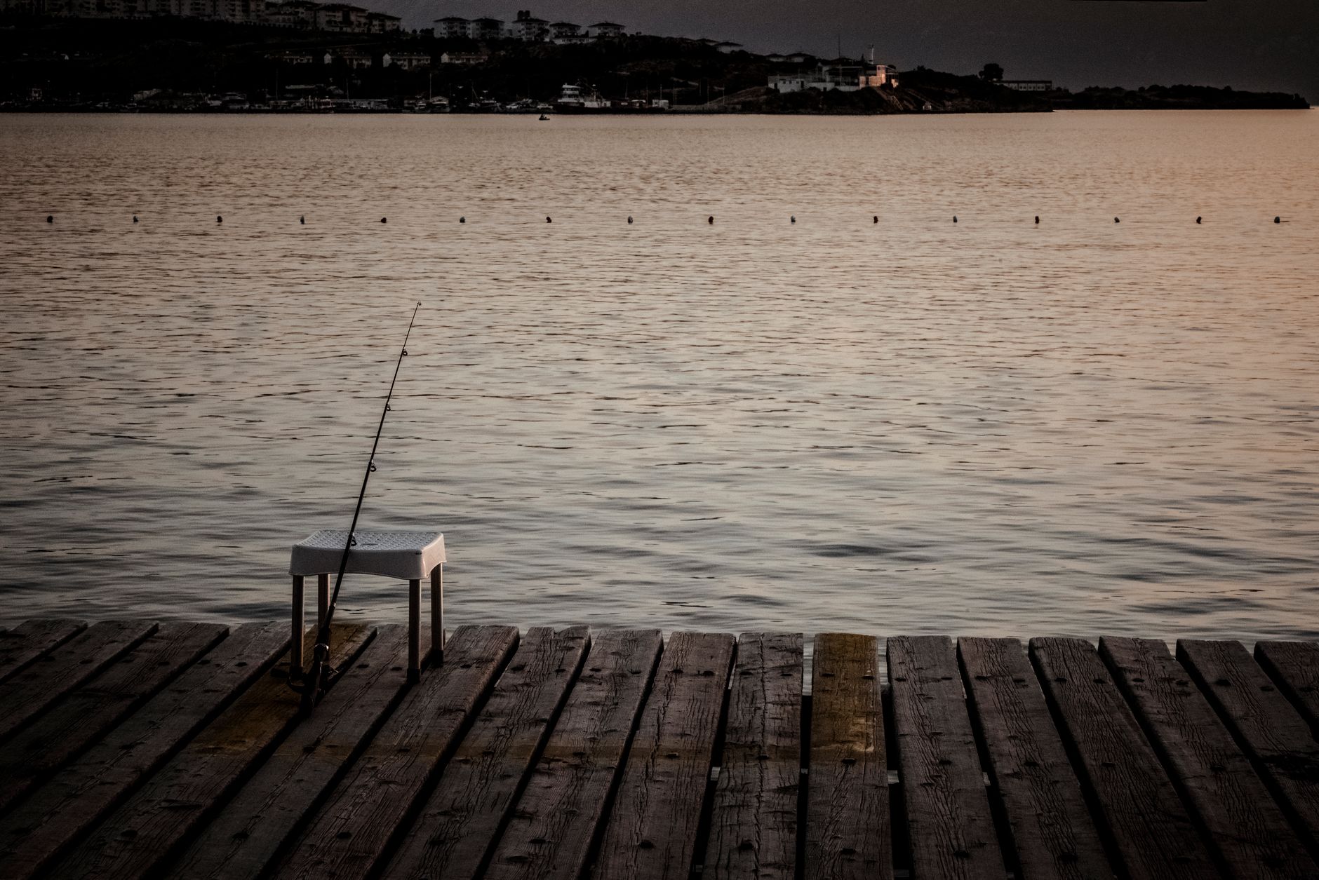 Les poissons les plus faciles à attraper pour les débutants