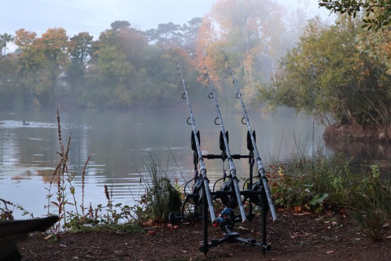 Secrets pour repérer les bancs de poissons