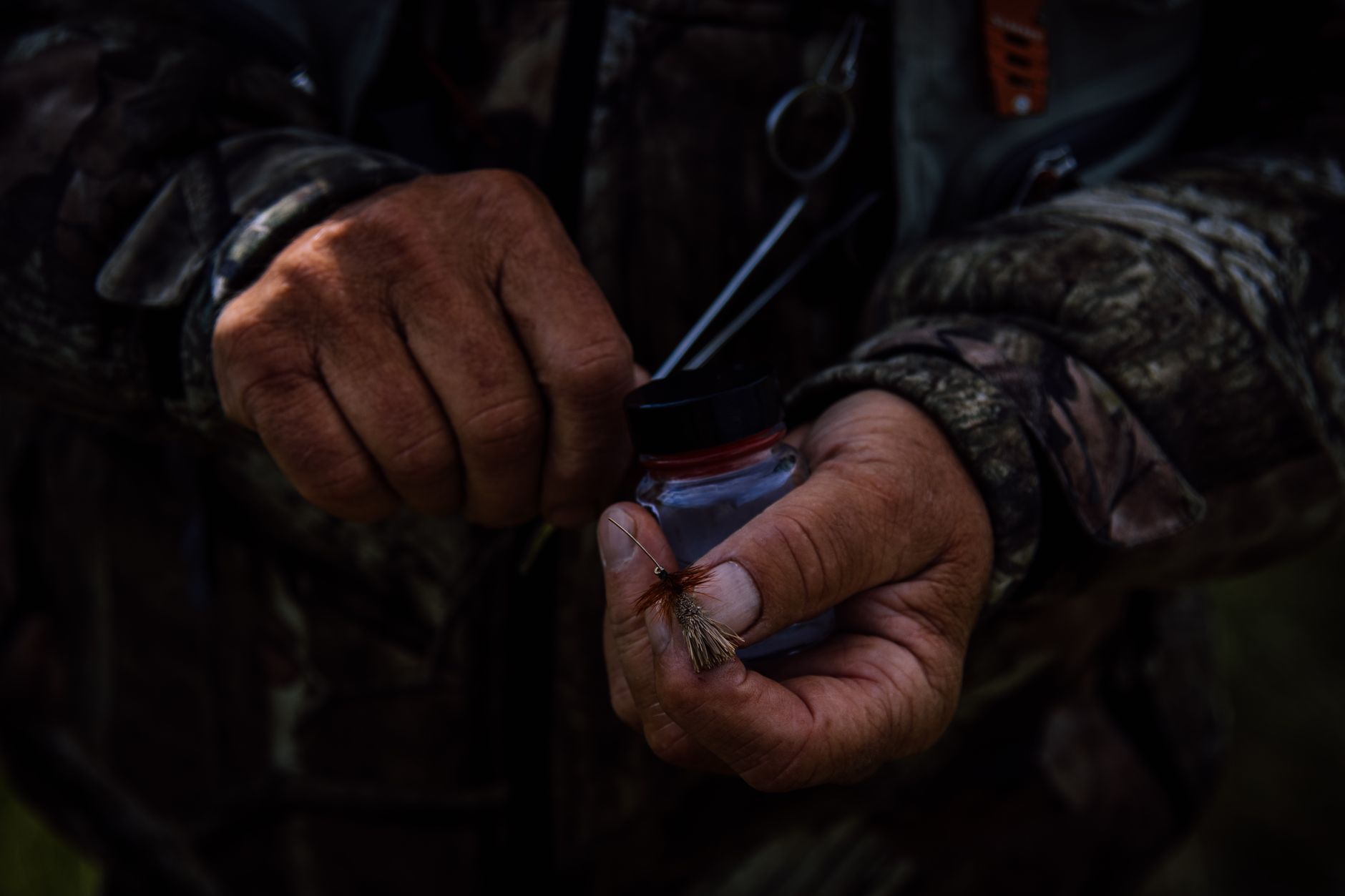 Dans les rivières, chaleur et faibles débits fragilisent les poissons