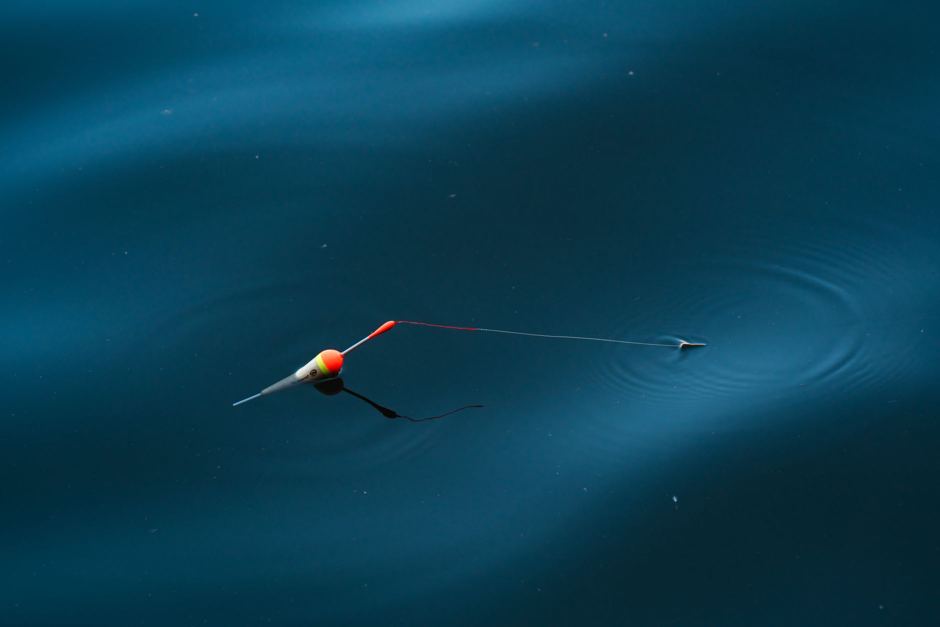 Bouchon de pêche blanc et orange flottant sur une eau sombre et calme.