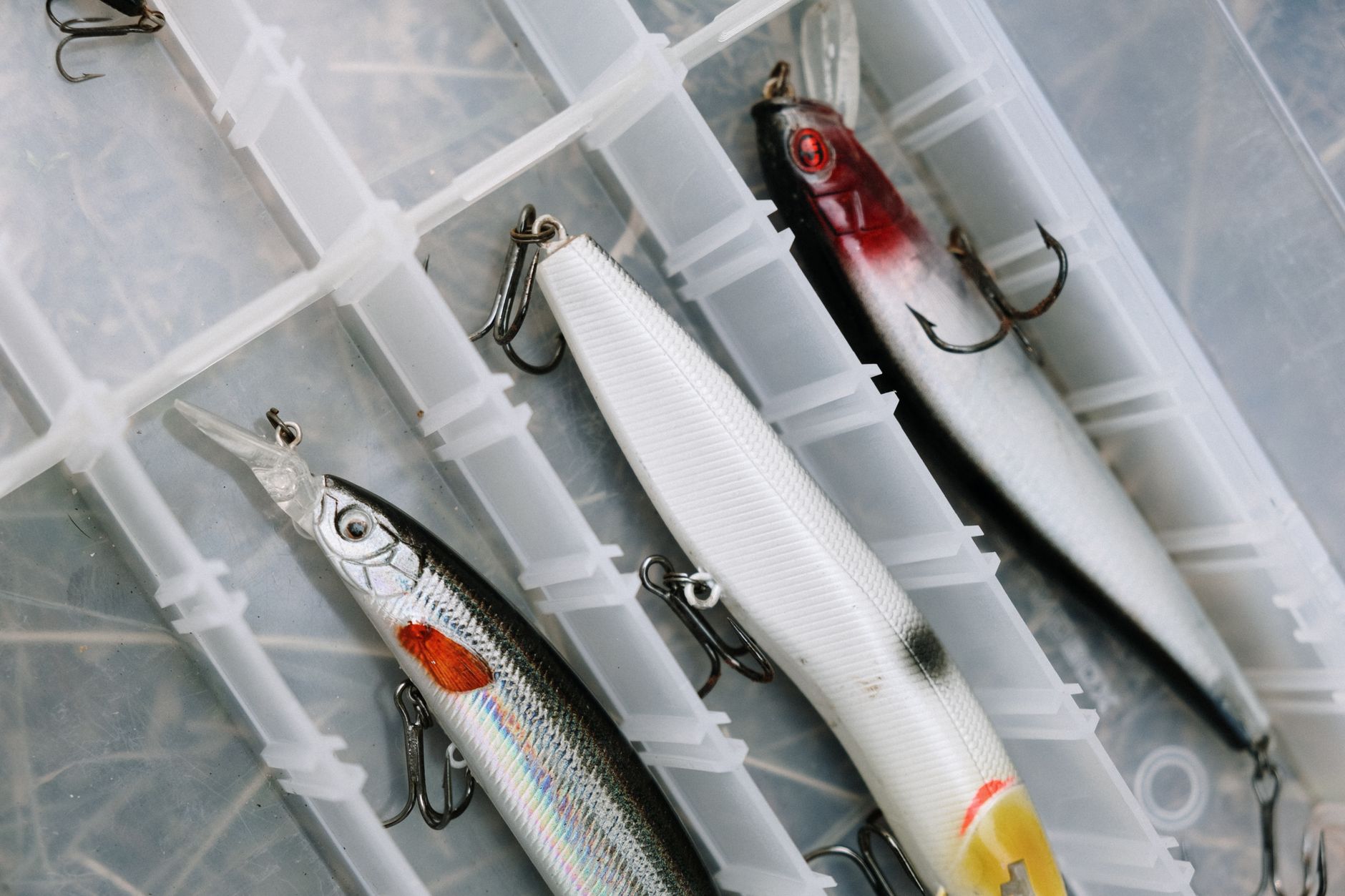 Plusieurs leurres de pêche avec hameçons triples rangés dans une boîte de rangement compartimentée.