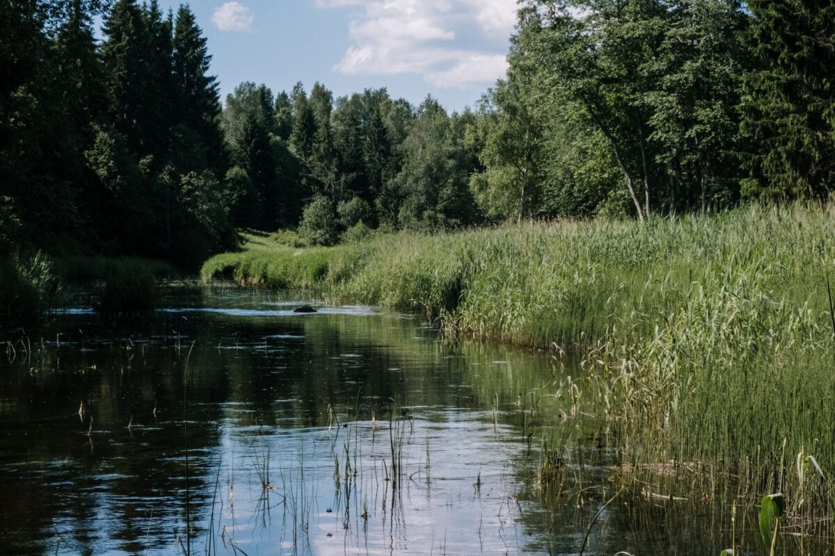 Au lycée Charlemagne, la pêche entre dans les cours pour protéger les rivières