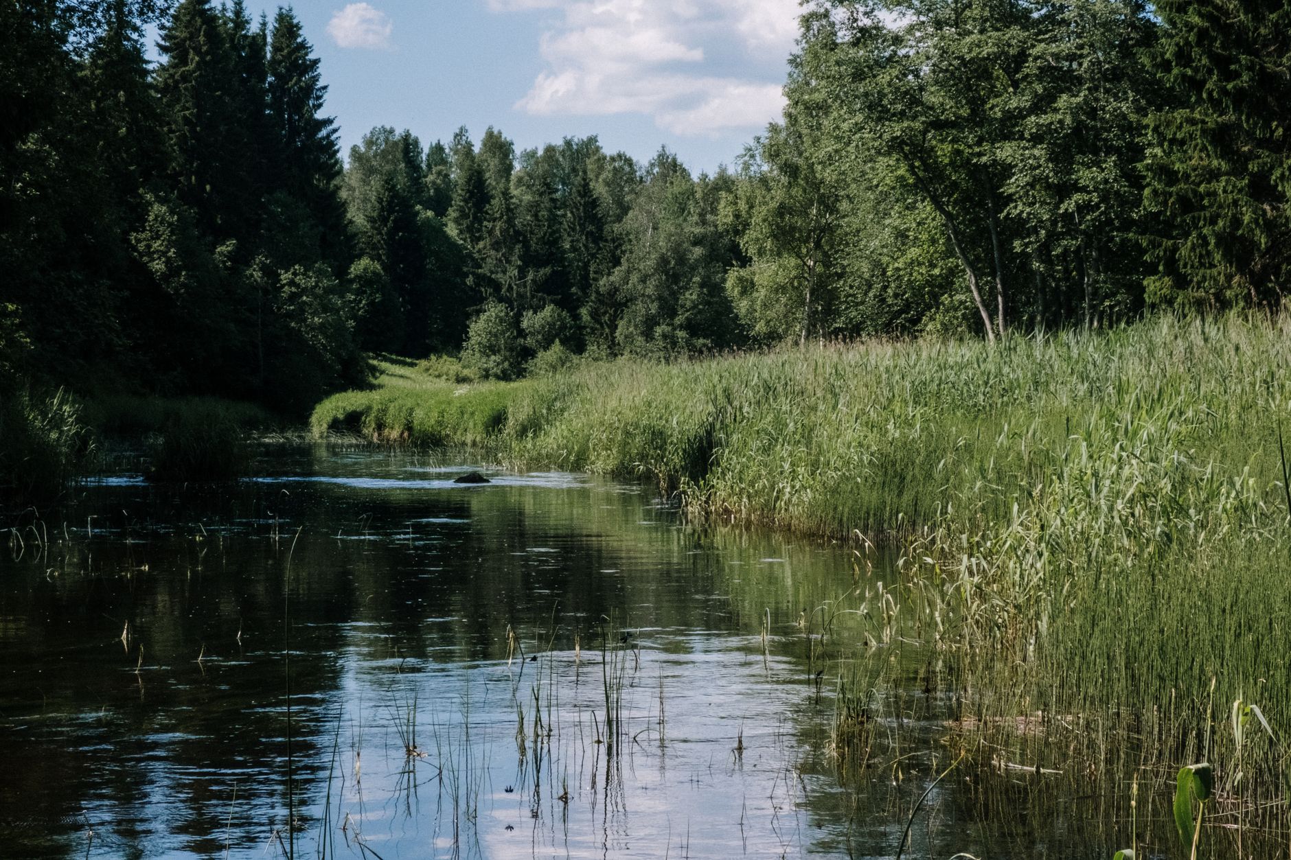 Au lycée Charlemagne, la pêche entre dans les cours pour protéger les rivières