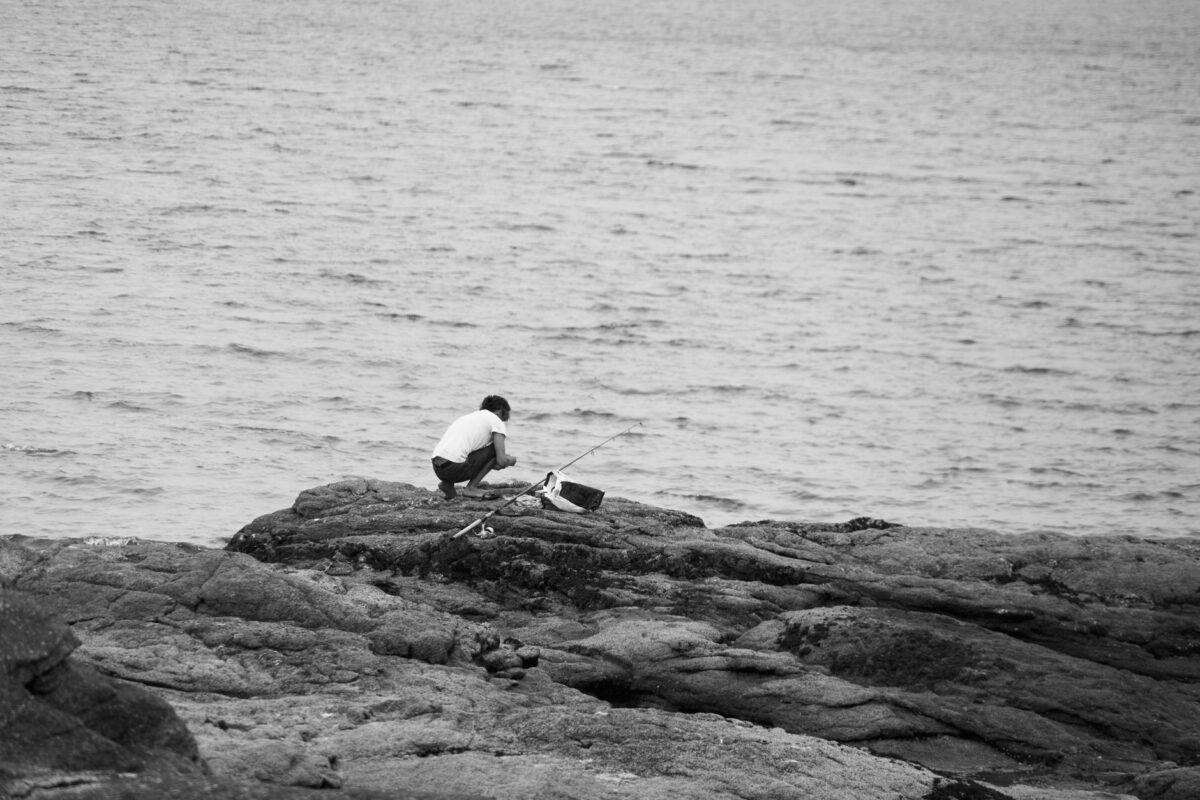 Pour pêcher le sar, les heures de l’aube et du soir comptent